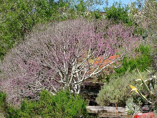 malibu property 4259 0077