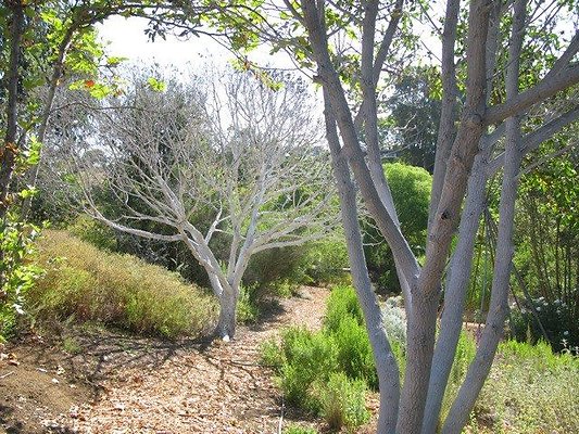 malibu property 4259 0190