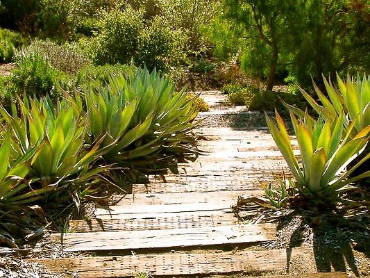 malibu property 4259 0096