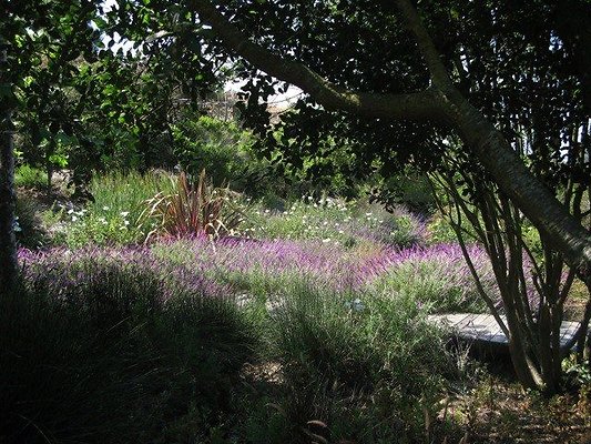 malibu property 4259 0194