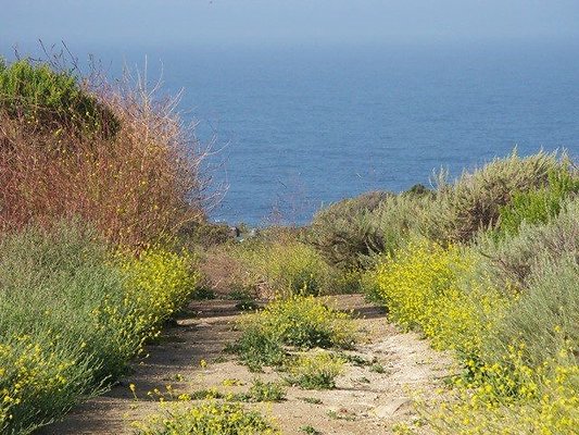 malibu property 4259 0041