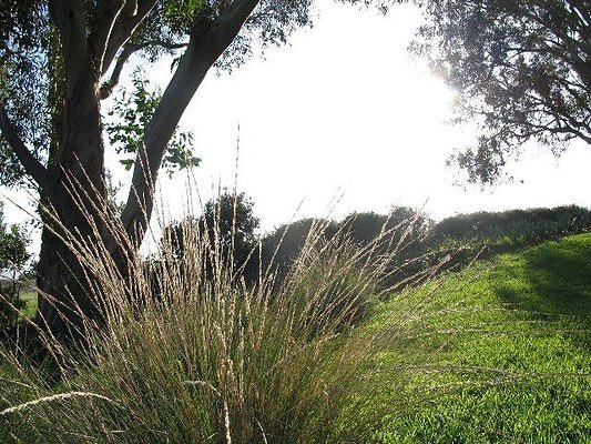 malibu property 4259 0187