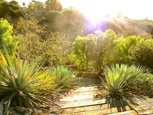 malibu property 4259 0090