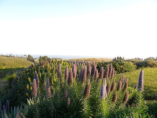 malibu property 4259 0092