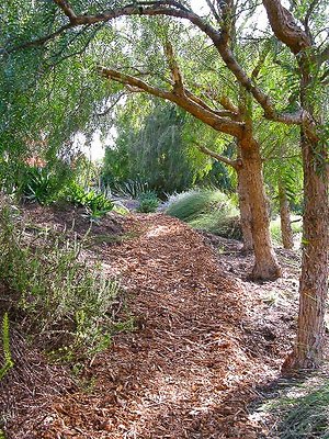 malibu property 4259 0066