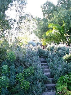 malibu property 4259 0189