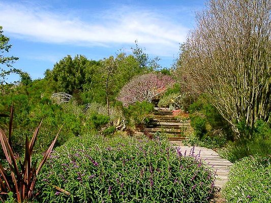 malibu property 4259 0089