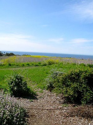 malibu property 4259 0078