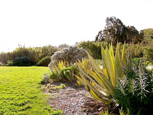 malibu property 4259 0057