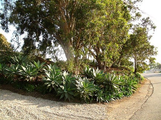 malibu property 4259 0144