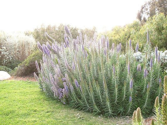 malibu property 4259 0182
