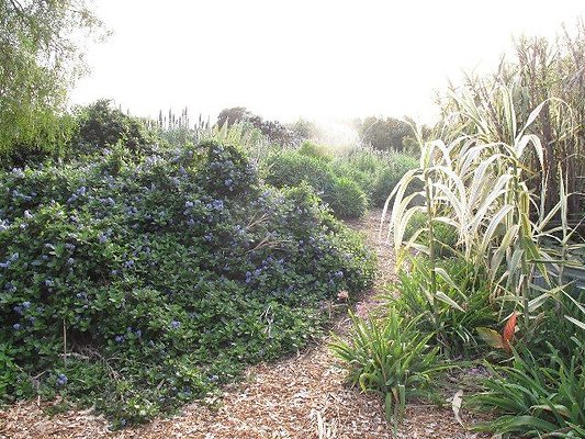 malibu property 4259 0098