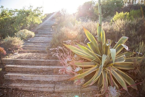 malibu property 4259 0207