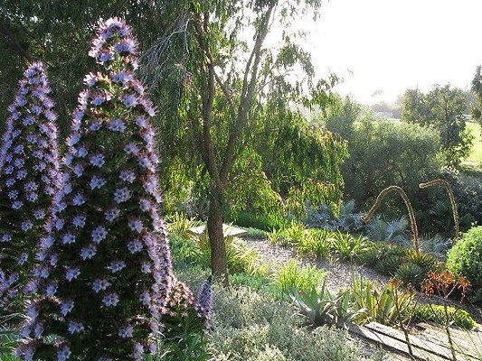 malibu property 4259 0188