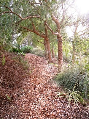 malibu property 4259 0171