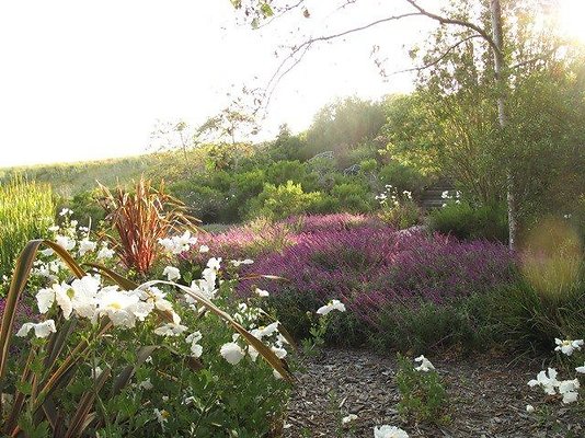 malibu property 4259 0193