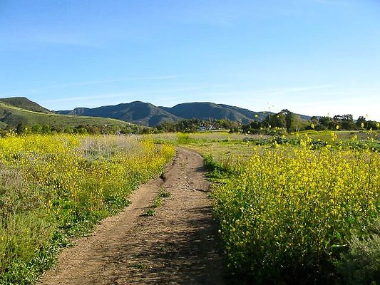 malibu property 4259 0007