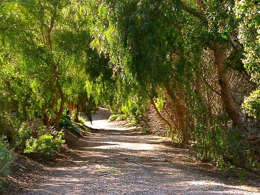 malibu property 4259 0064