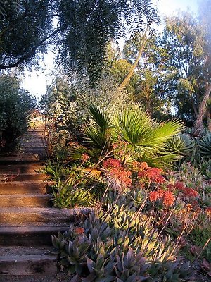 malibu property 4259 0082