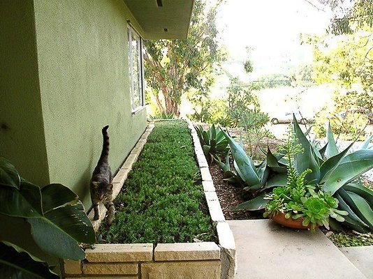 malibu property 4259 0143