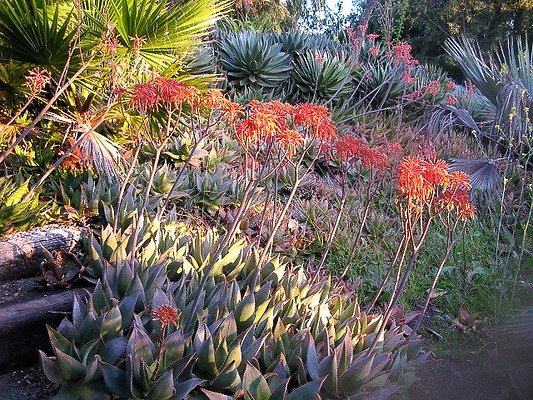 malibu property 4259 0081