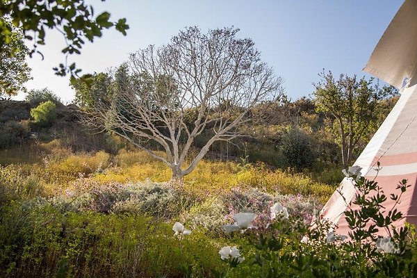 malibu property 4259 0206