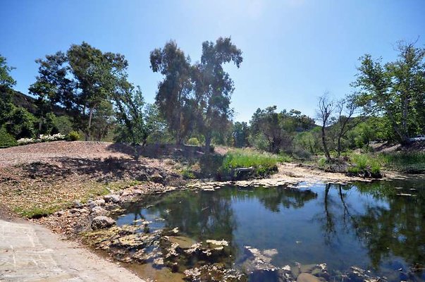 9356 pond2