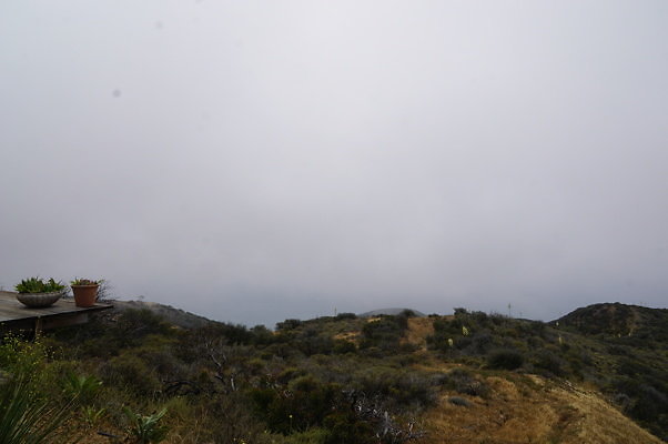 DSC01101