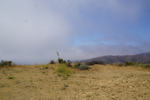 DSC01140