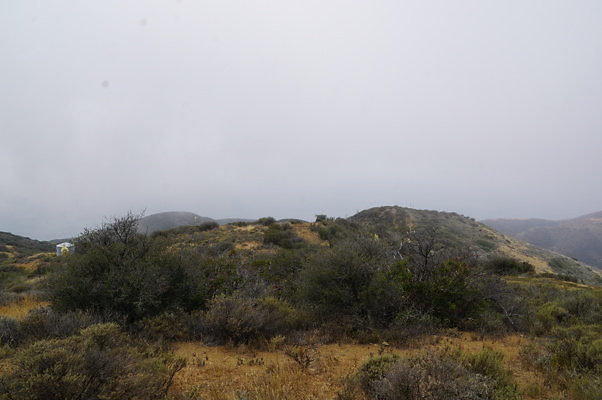 DSC01113