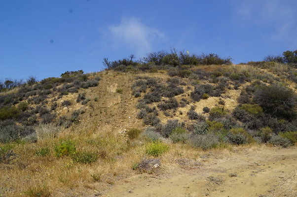 DSC01141