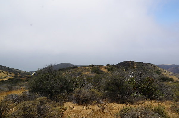 DSC01157