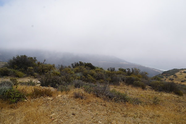 DSC01111