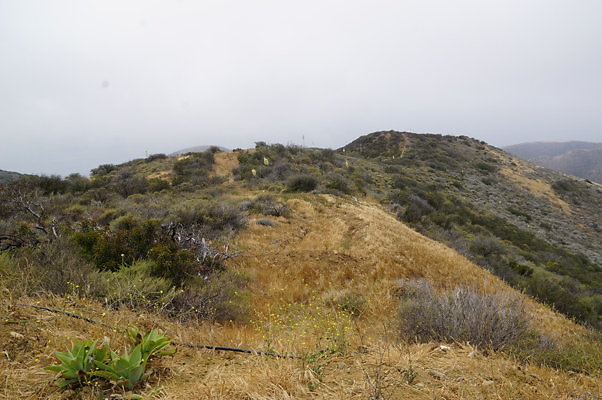 DSC01102