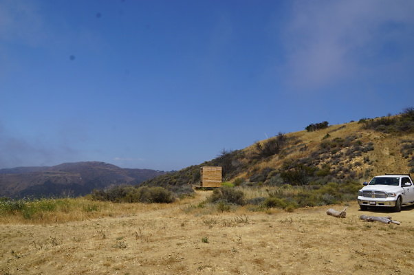 DSC01135