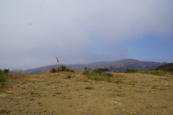 DSC01107