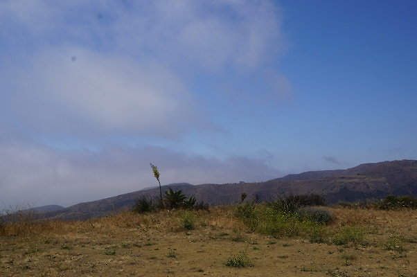 DSC01170