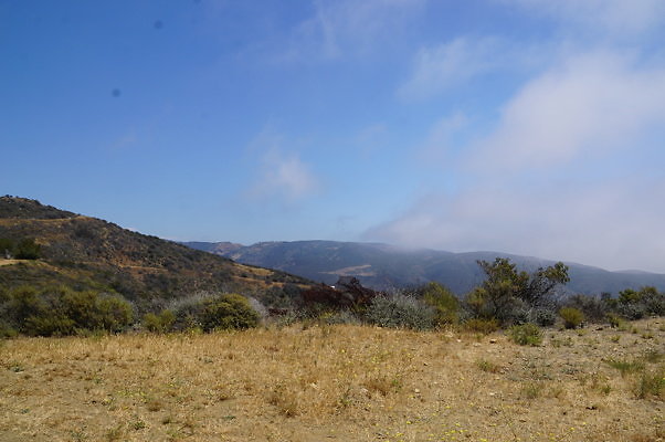 DSC01173