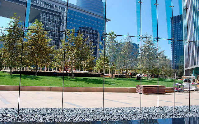 DSC 0253