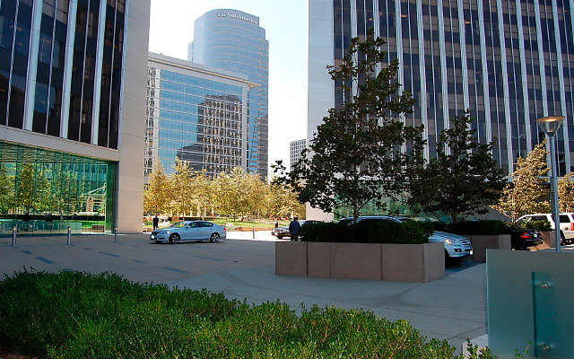 DSC 0238