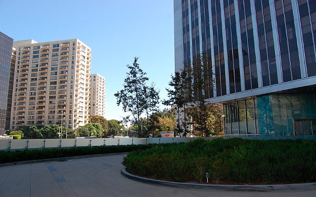 DSC 0236