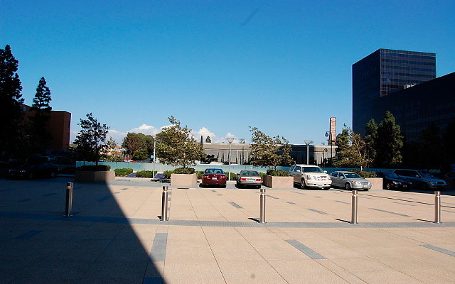 DSC 0223
