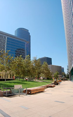 DSC 0230