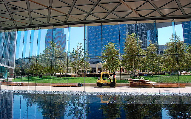 DSC 0206