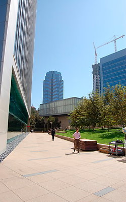 DSC 0231