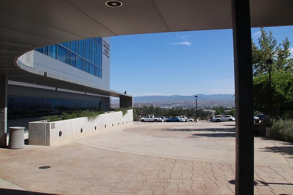 IMG 7554
