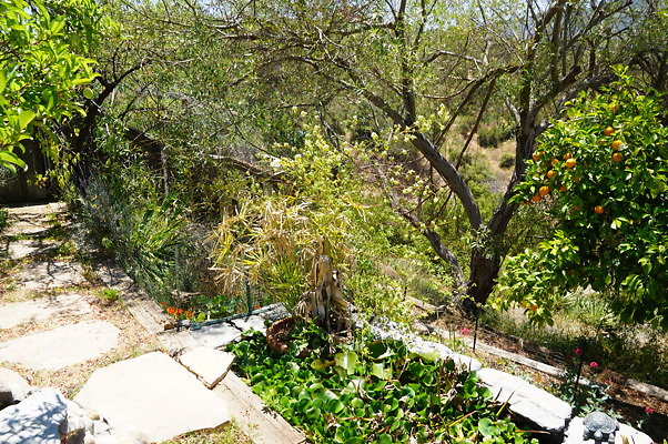 DSC00879