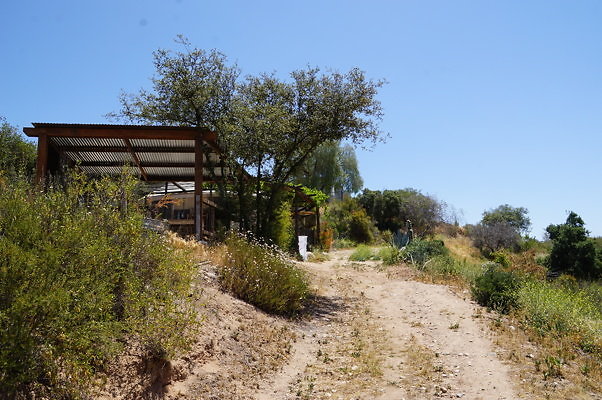 DSC00920