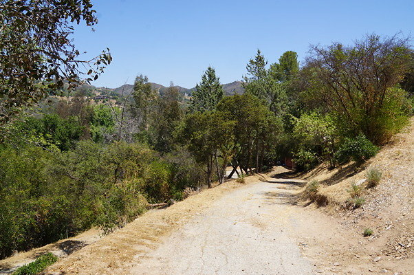 DSC00926