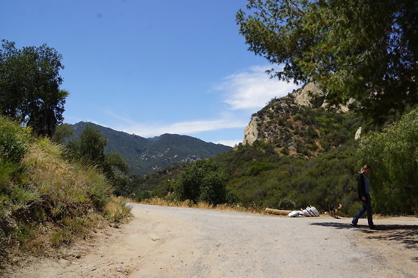 DSC00924